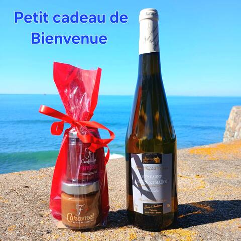 Propriété Airbnb réussie: On the sand of the great valleys! à Pornic