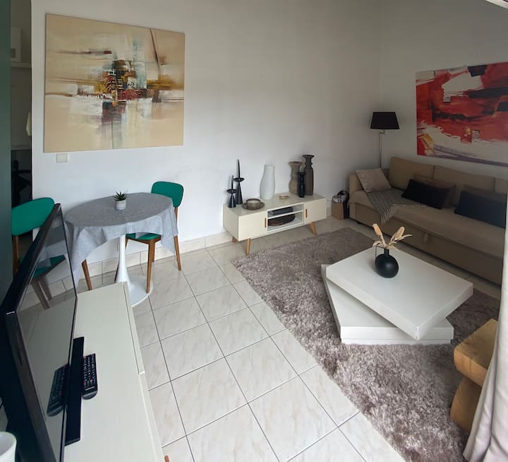 Jolie Appartement De Charme Avec Sa Terrasse - Anglet