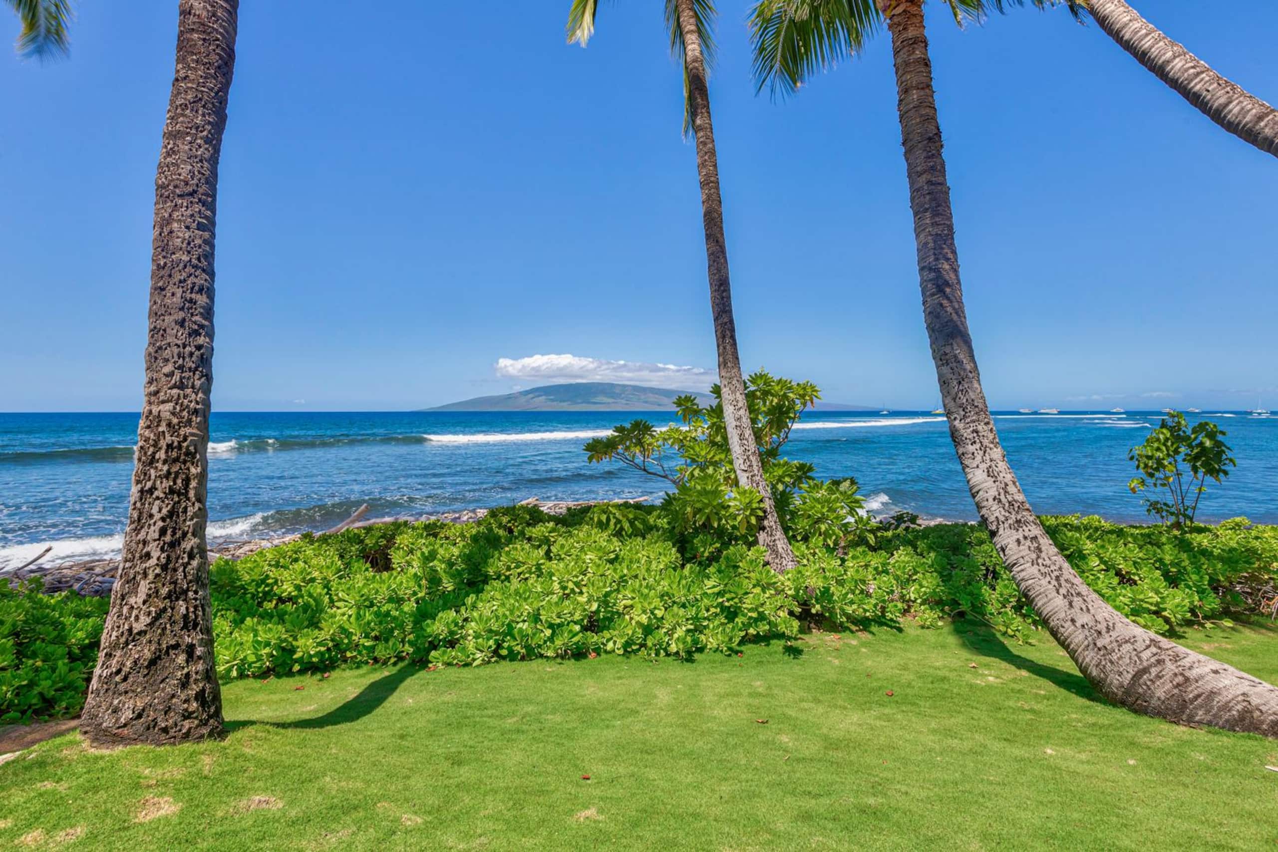 Condo in Lahaina · ★5.0 · 2 bedrooms · 5 beds · 3 baths - Image 32