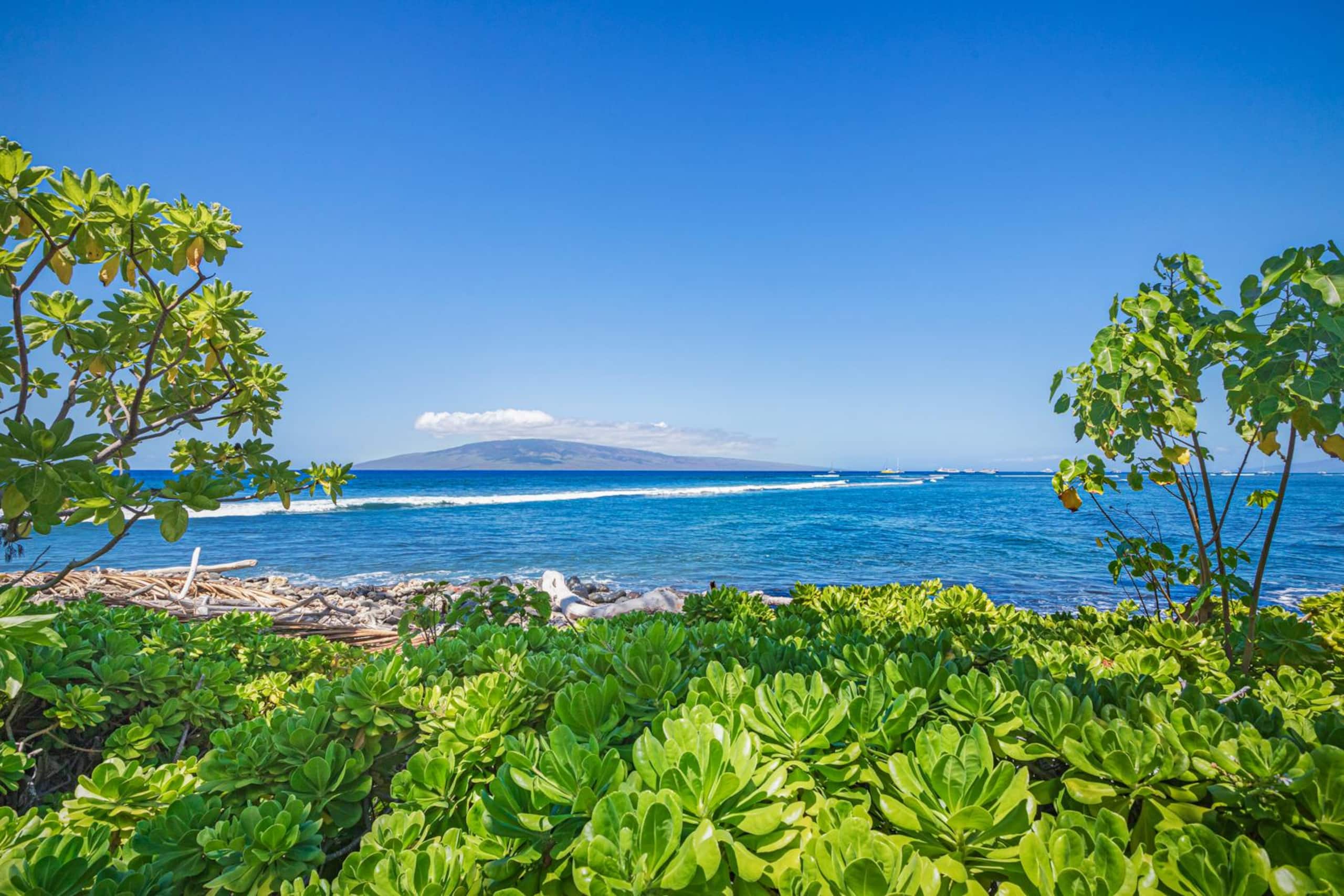 Condo in Lahaina · ★5.0 · 2 bedrooms · 5 beds · 3 baths - Image 52