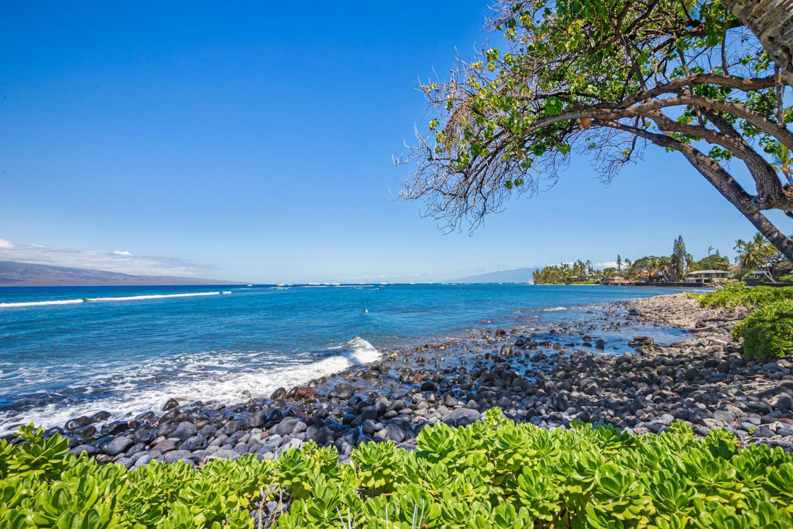 Condo in Lahaina · ★5.0 · 2 bedrooms · 5 beds · 3 baths - Image 37