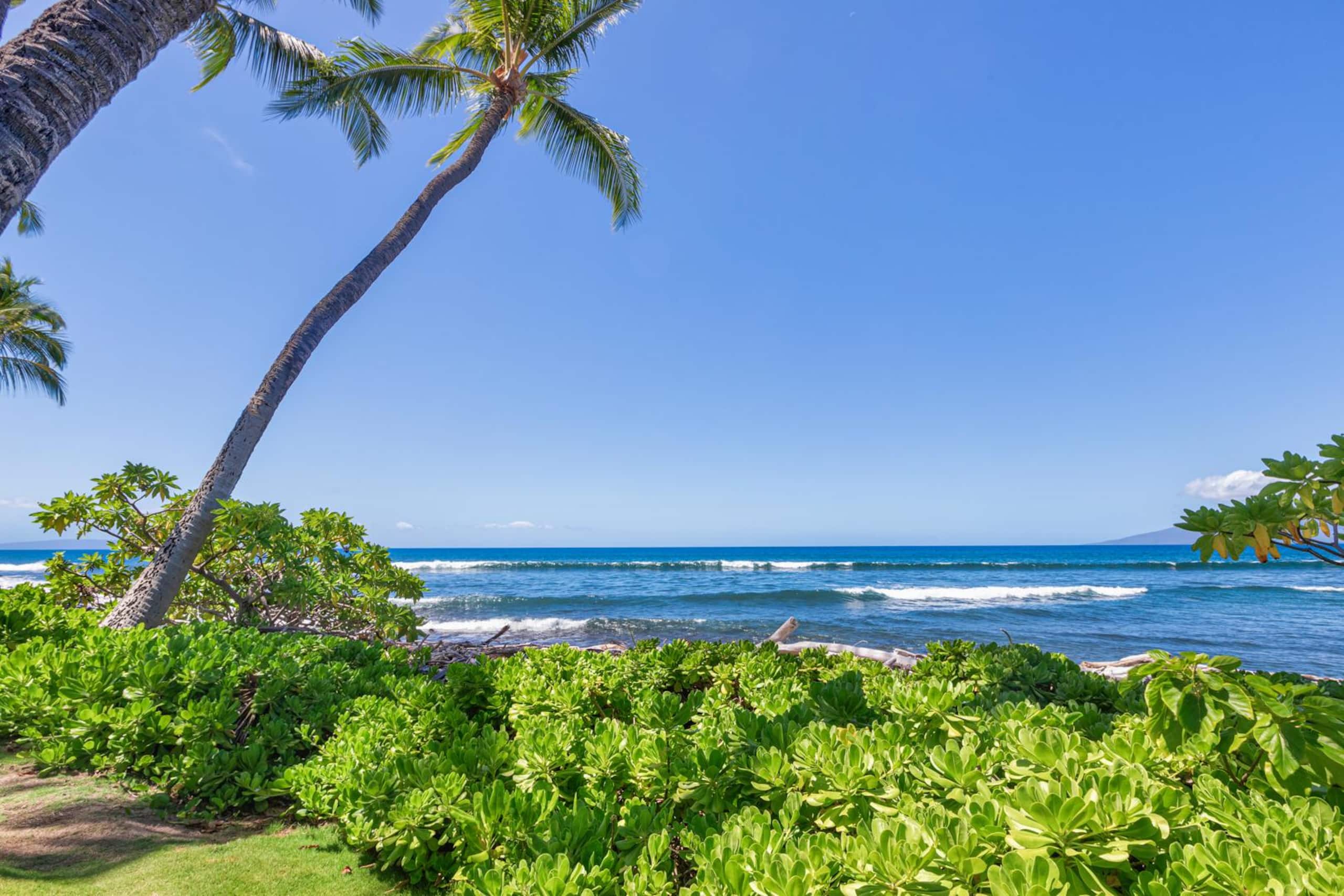 Condo in Lahaina · ★5.0 · 2 bedrooms · 5 beds · 3 baths - Image 36