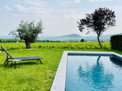 Beaujolais: in the heart of the vines and Mt Brouilly view
