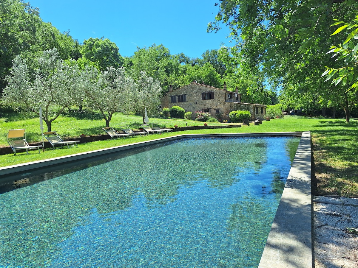 The image depicts a tranquil swimming pool framed by lush greenery. In the background, an ancient farmhouse is nestled among trees and well-maintained gardens. Sun loungers are arranged beside the pool, inviting relaxation and enjoyment of the serene landscape.