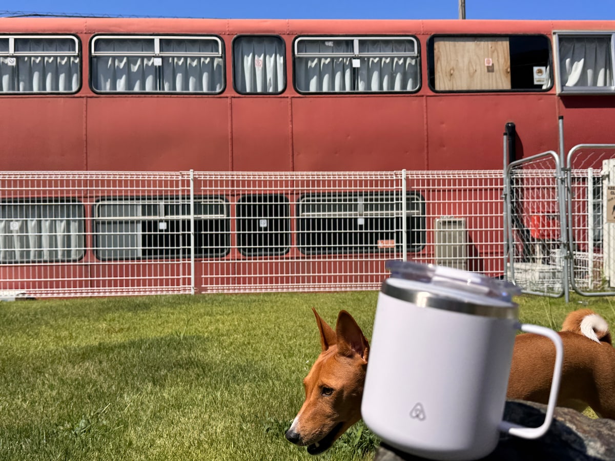 日本初&唯一のロンドンバスホテル 1日1組限定ペット宿泊可能ホテルと