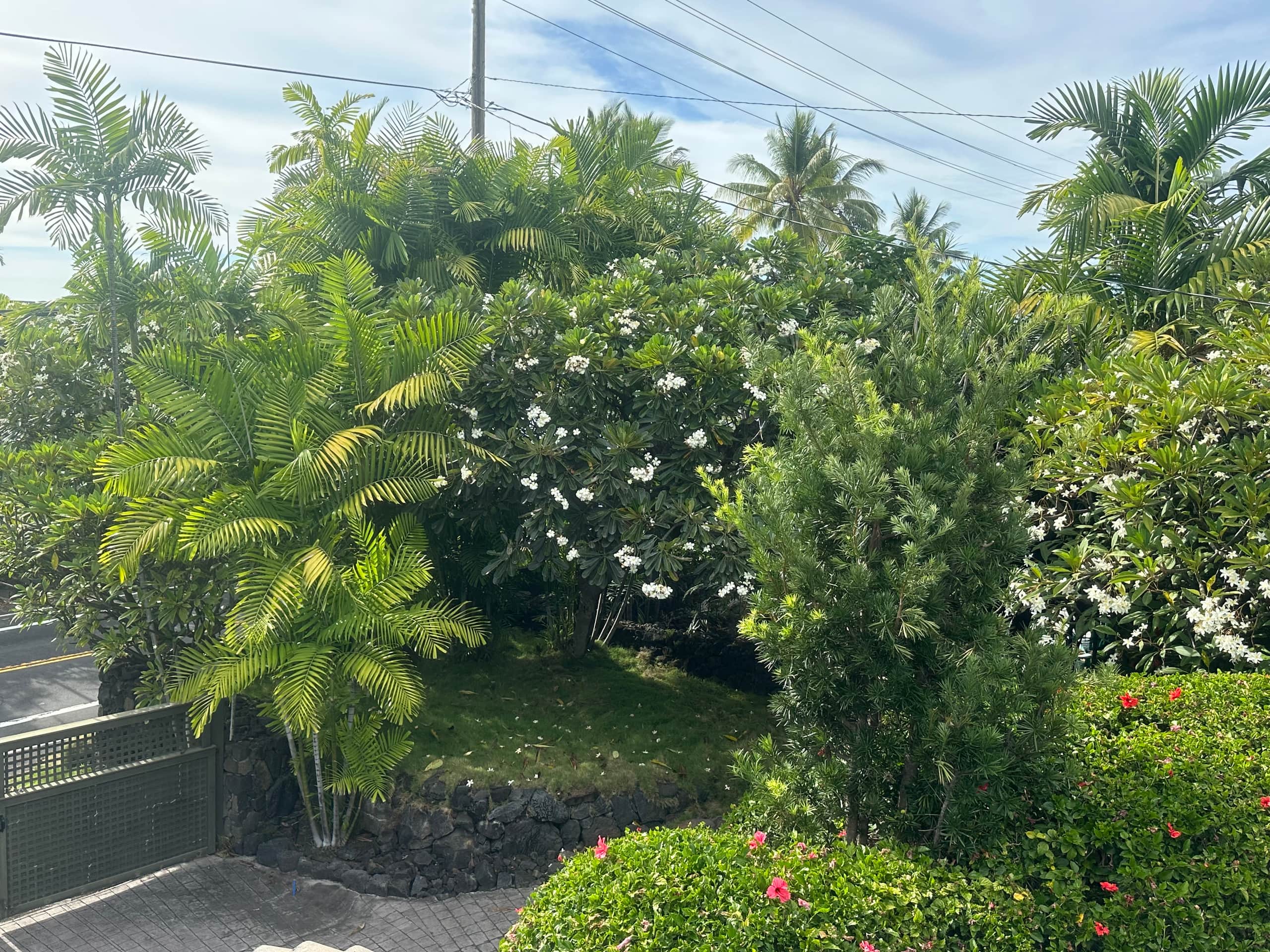 Home in Kailua-Kona · ★4.98 · 4 bedrooms · 4 beds · 3.5 baths - Image 39