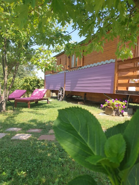 For a relaxing holiday with your and our pets