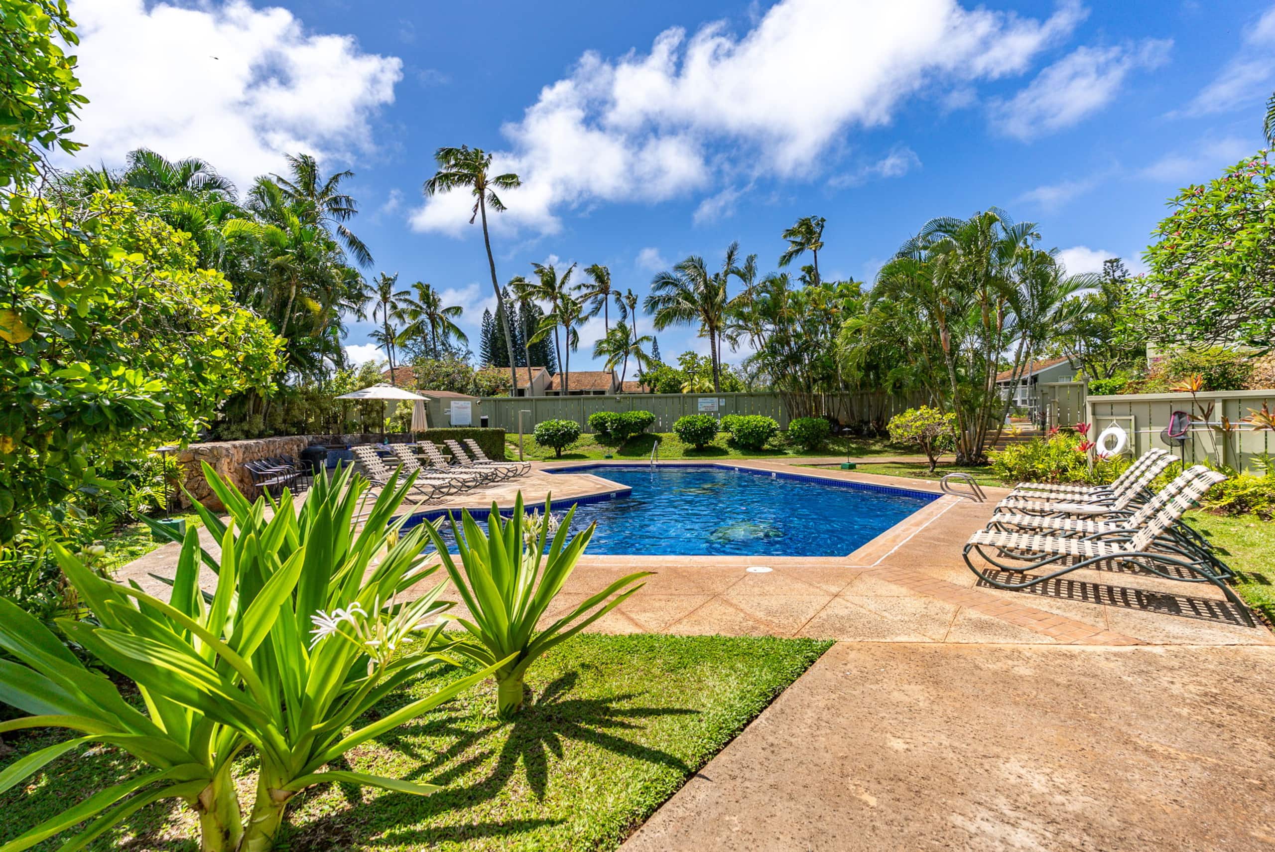 N Shore Turtle Bay Kuilima Condo Getaway! Reviews! - Image 27