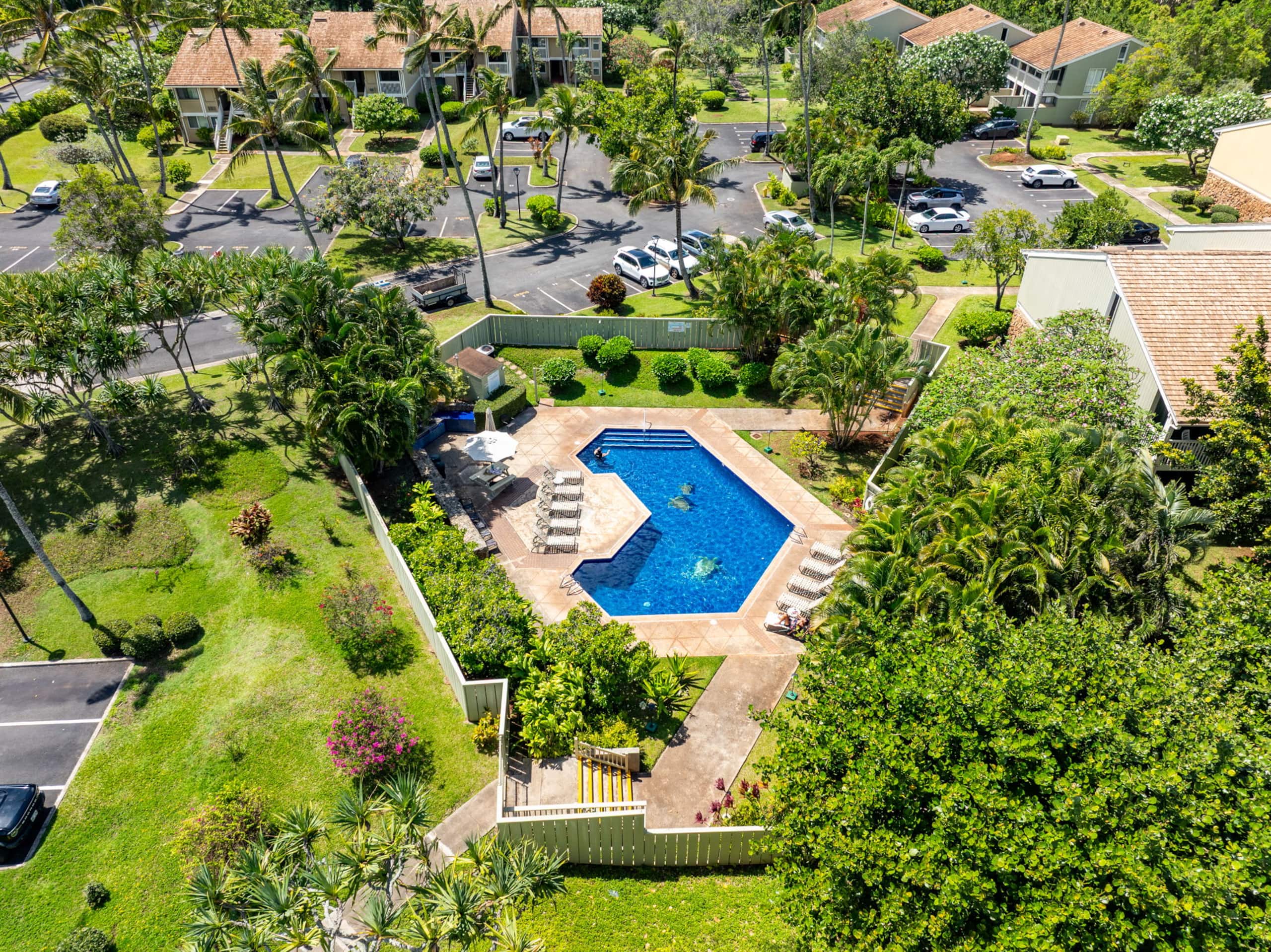 N Shore Turtle Bay Kuilima Condo Getaway! Reviews! - Image 26