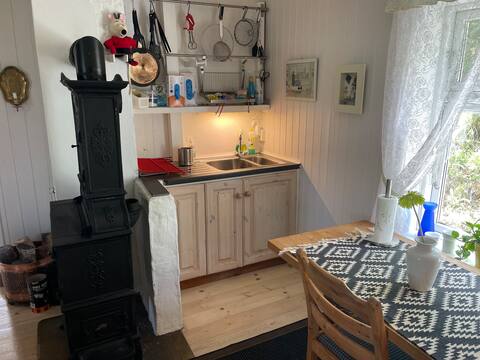 Top performing Airbnb: Rural log cabin idyll with swimming and fishing opportunities in Ringerike
