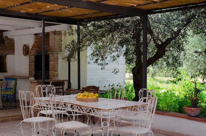 Uliveto Nonno Giacomo Cir 19089016c225494 - Rosolini
