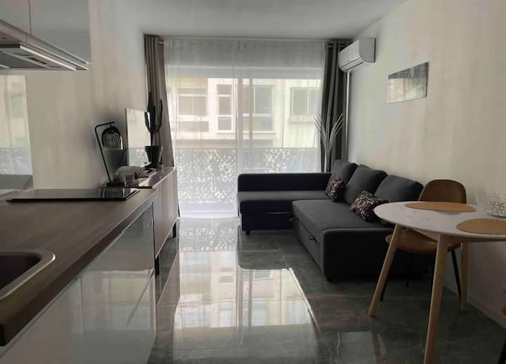 Appartement Proche Promenade Climatisé - Niza
