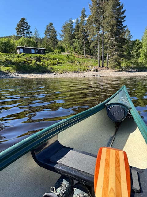 Cozy and family friendly cabin by the Randsfjord