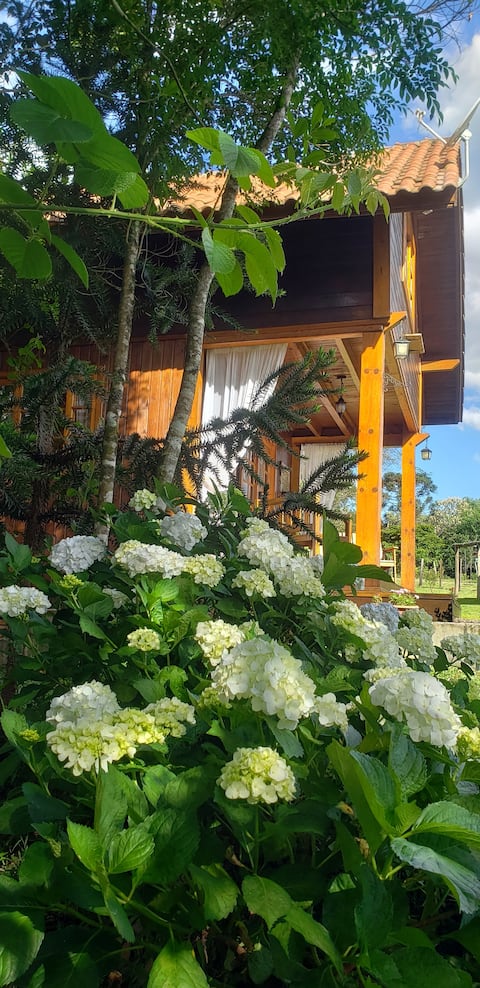 Christmas in the mountains/ Affordable for families