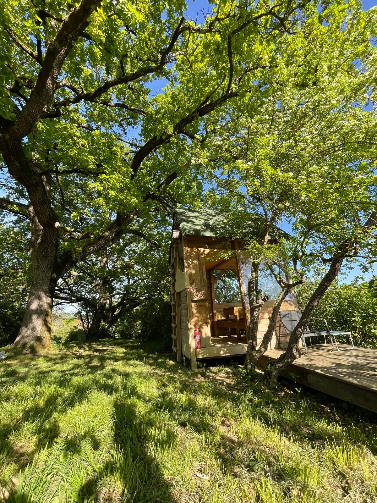 A small cabin is nestled among trees, featuring a wooden deck that connects to the nature surrounding it. Sunlight filters through the leaves, illuminating the space. The cabin's open entry reveals an inviting interior, blending harmoniously with the natural environment.