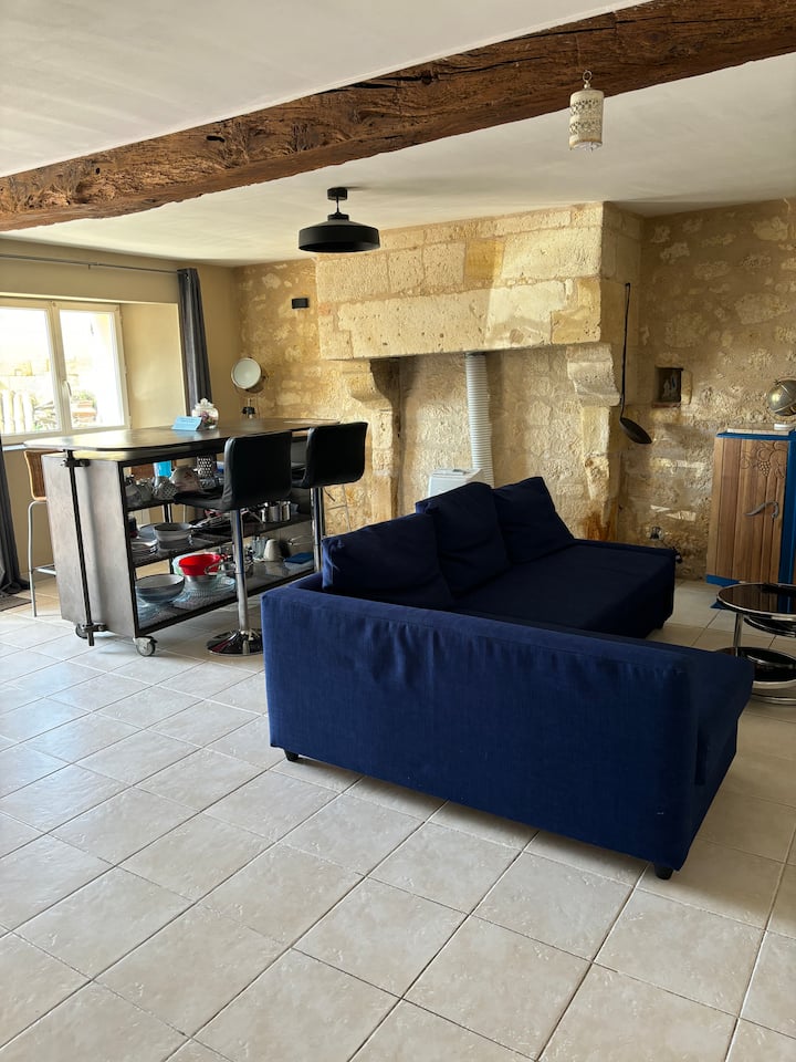 "Grand Cru" Appartement 2 Chambres Rez De Chaussée - Saint-Émilion