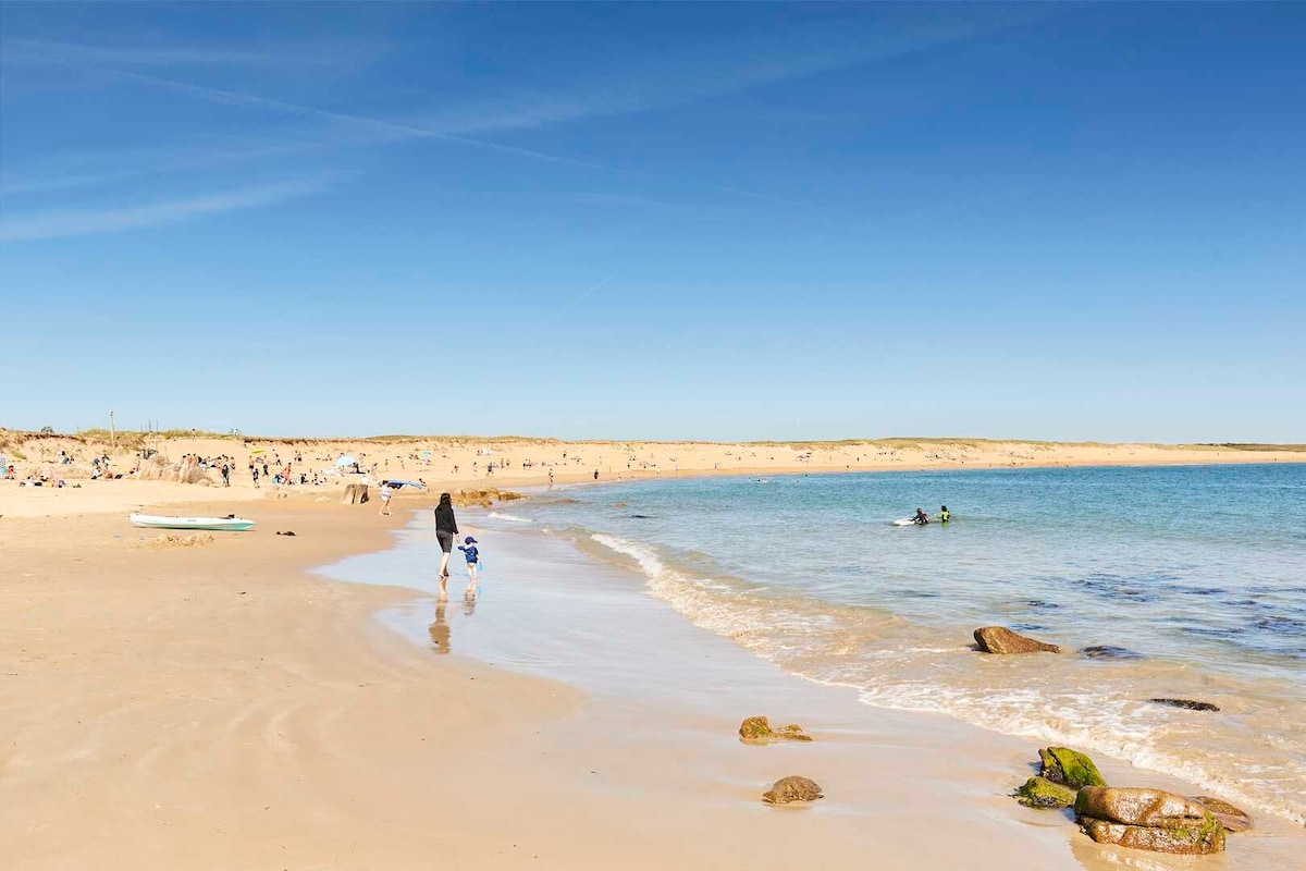 A sandy beach is shown with gentle waves lapping at the shore. People can be seen enjoying the space, while the distant dunes create a natural backdrop. A clear blue sky enhances the serene atmosphere, inviting visitors to relax along the water's edge.