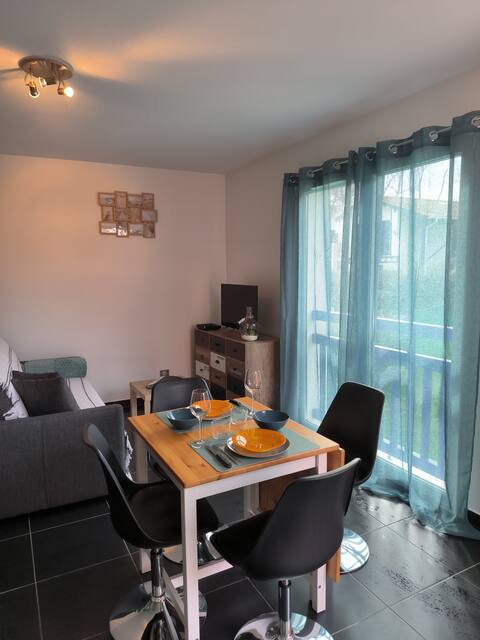 Popular Airbnb listing: T2 rental in Bidart, your vacation in the Basque Country in Bidart