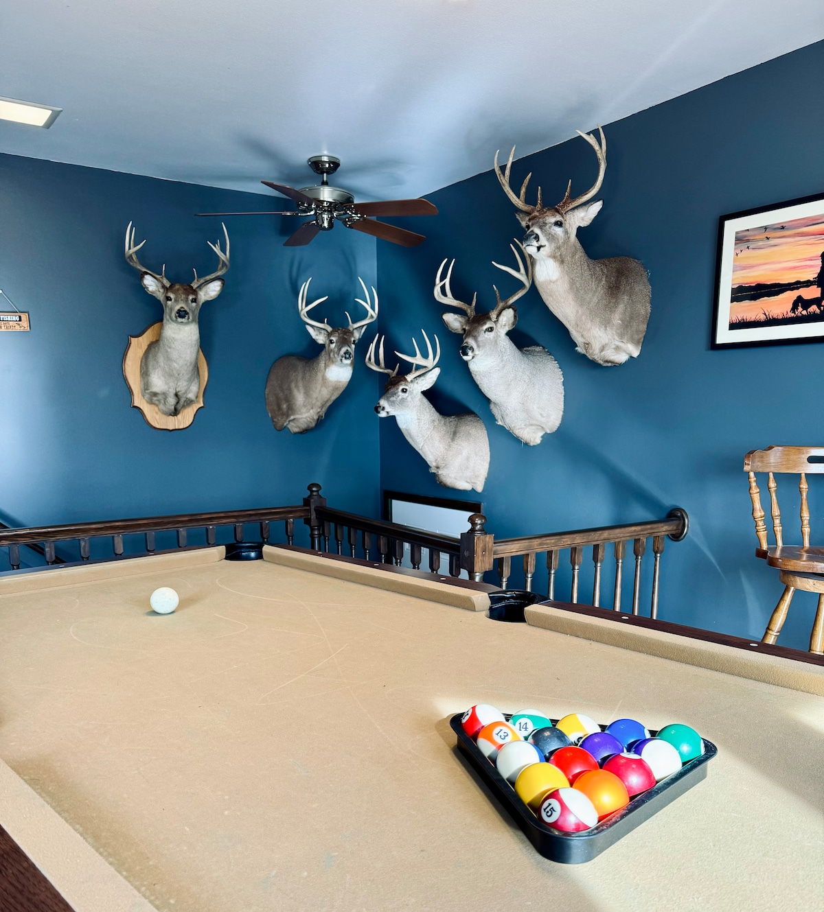A pool table occupies the center of the room, surrounded by walls adorned with mounted deer heads. A ceiling fan provides airflow, while a collection of colorful pool balls sits neatly arranged on the table. A framed landscape artwork hangs on the wall above.