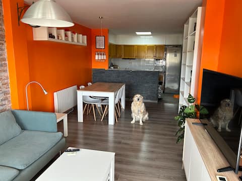 A 90m2 apartment in Alcossebre