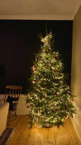 Spacious Georgian apartment in city centre gallery image 2