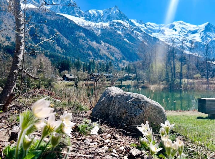 Vue Mont Blanc, Spa / Piscine, Séjour Unique - Chamonix-Mont-Blanc