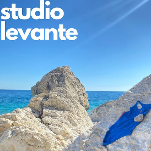 Studio Levante