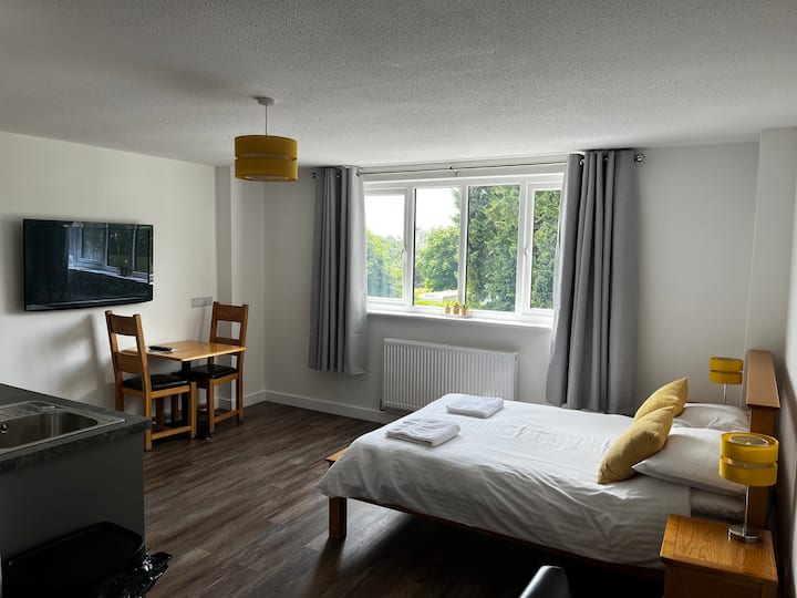 Beautiful, Pet Friendly Base In Rural Devon. Apt 1 - Ivybridge