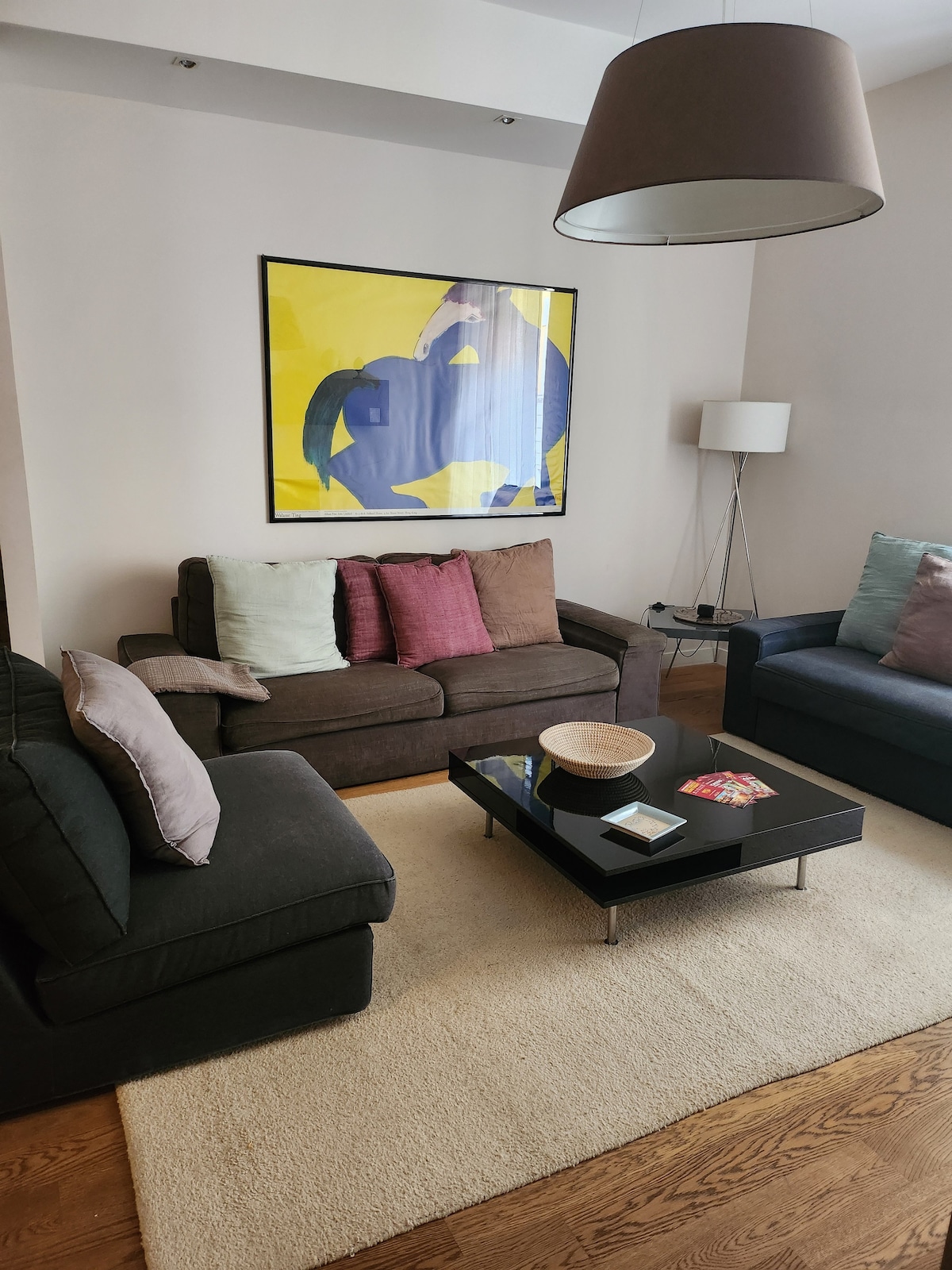 An inviting living area features two dark couches adorned with cushions in soft pastels and deep shades. A low coffee table sits at the center on a light rug, displaying a bowl and coasters. A large artwork adds a splash of color above the seating.