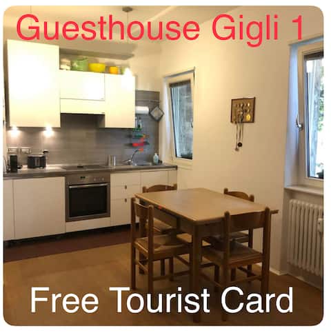 Near Downtown - Free Tourist Card (4 people)