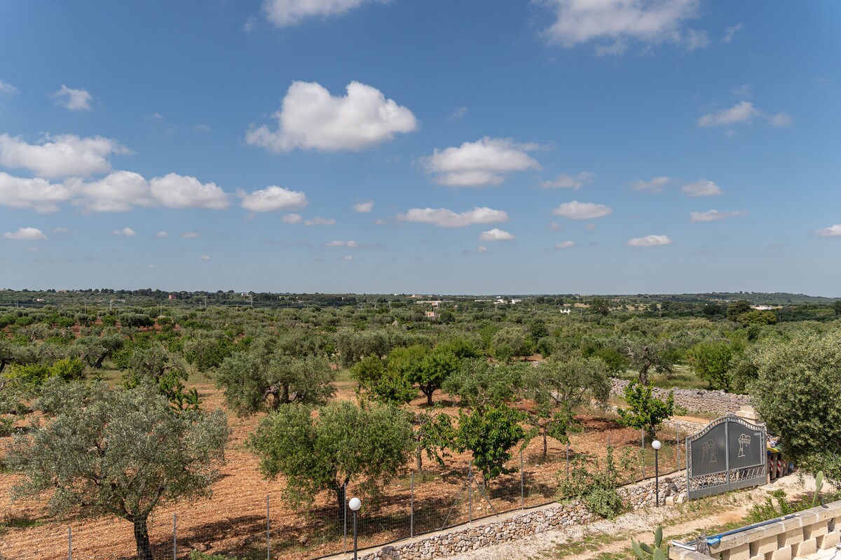 La Torretta — 61