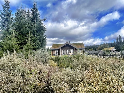 Large family cabin at Nordseter – nature and tranquility