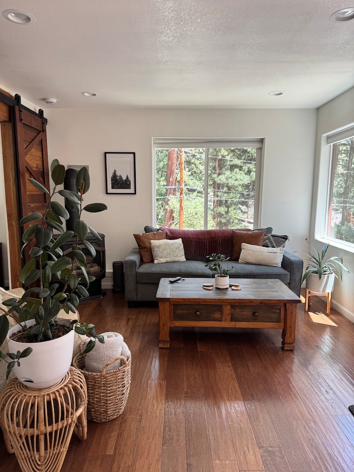 The "Canyon Loft" - Zephyr Cove, NV