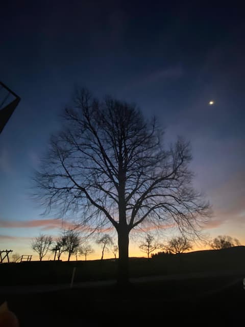 Family suite with sauna area (XXL family bed)