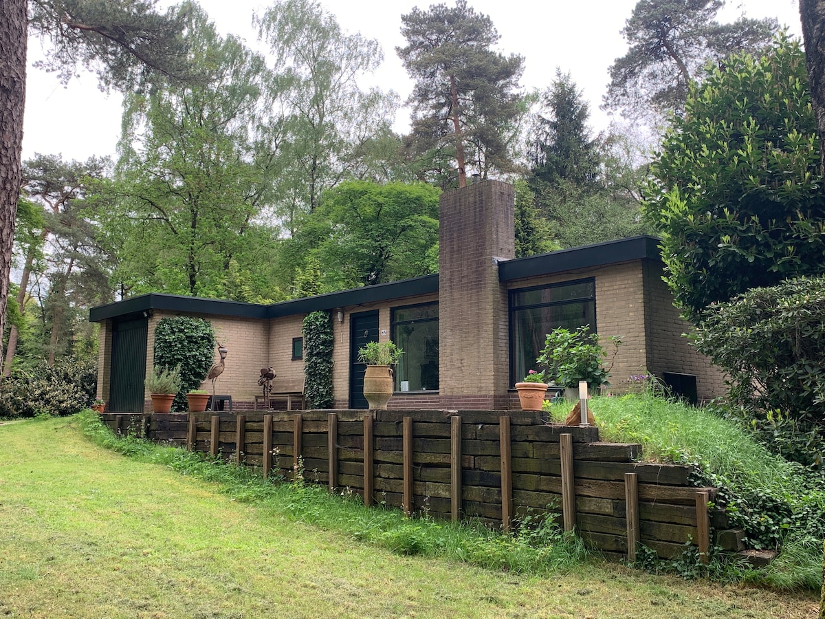 A modern bungalow is nestled among lush greenery, featuring large windows that provide a view of the surrounding natural landscape. A stone pathway leads to an outdoor patio adorned with potted plants, and trees create a serene backdrop.