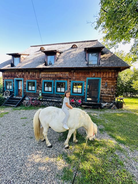 Breb's Cosy Barn, old wooden barn and green garden