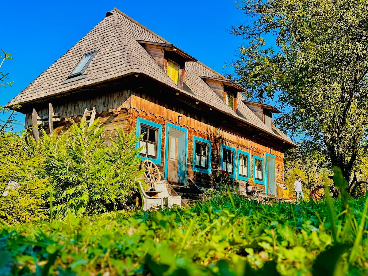 A traditional wooden barn sits nestled in a lush green garden, featuring a sloped roof and a charming facade with colorful window frames. Sunlight illuminates the scene, creating a serene atmosphere surrounded by greenery and trees.