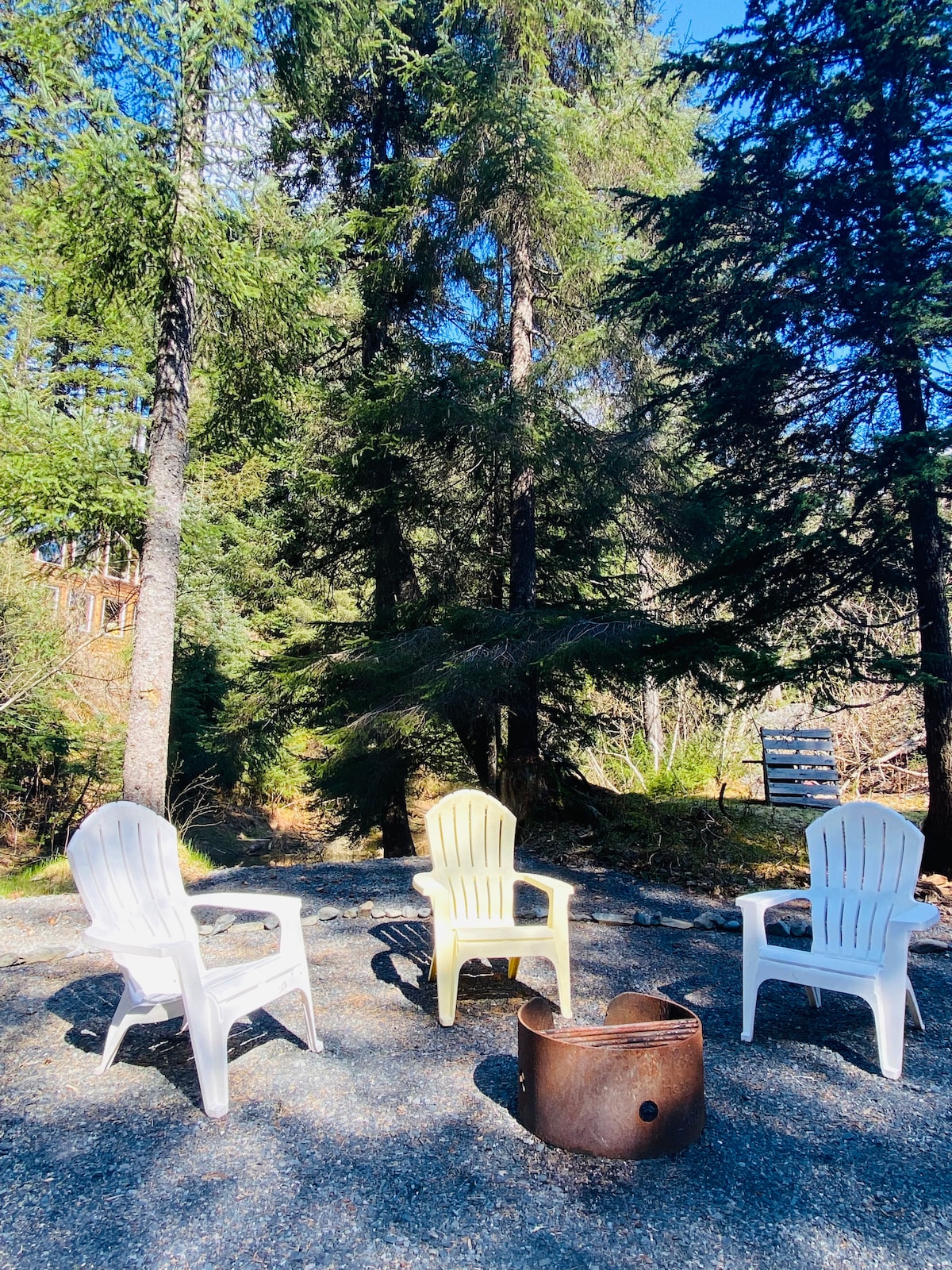 A serene outdoor space is surrounded by tall trees, featuring four white chairs positioned around a metal firepit on a gravel surface. The bright blue sky overhead complements the natural greenery, creating a peaceful setting for relaxation.
