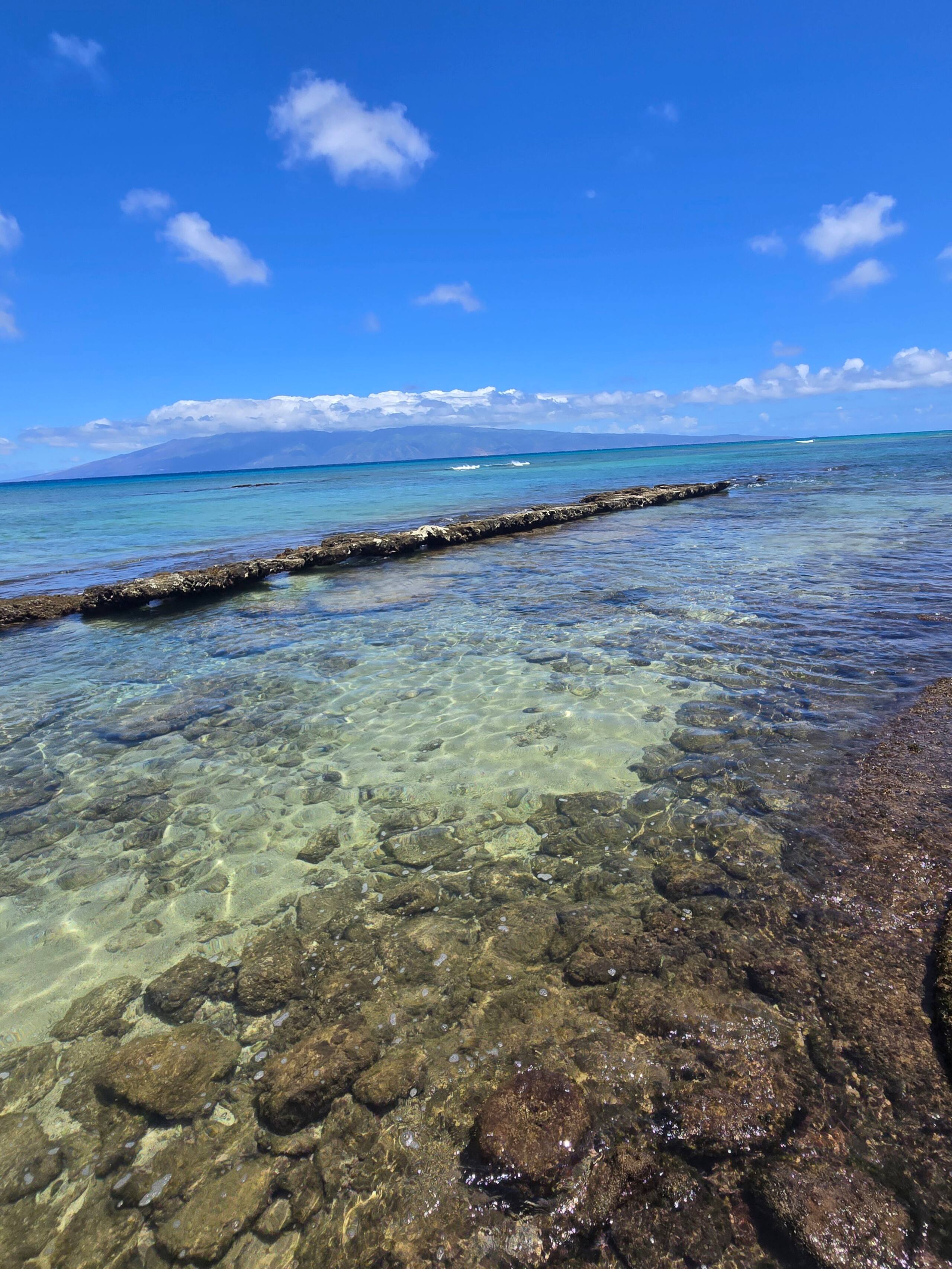 Condo in Lahaina · ★4.96 · 1 bedroom · 2 beds · 1 private bath - Image 38