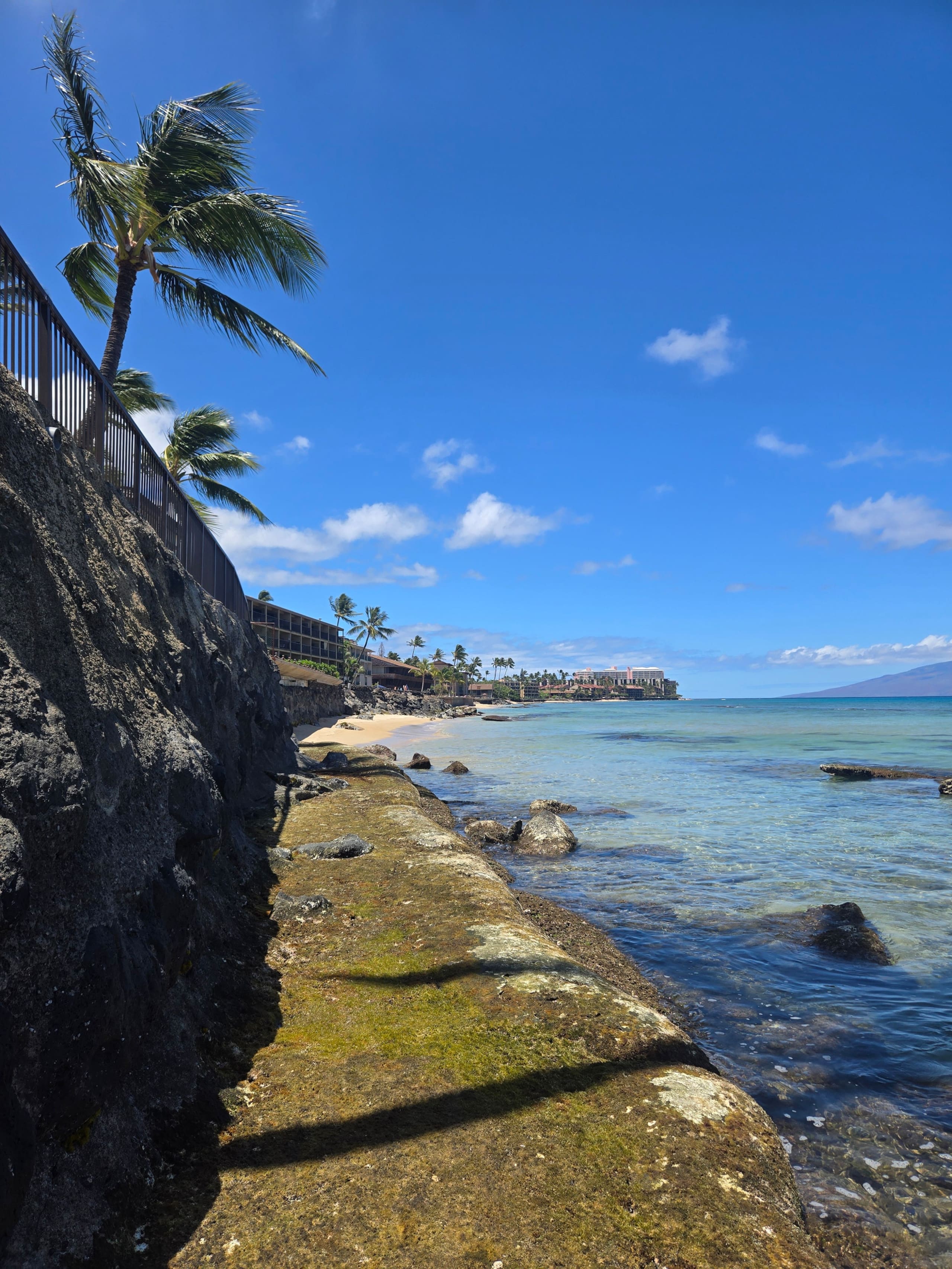 Condo in Lahaina · ★4.96 · 1 bedroom · 2 beds · 1 private bath - Image 41