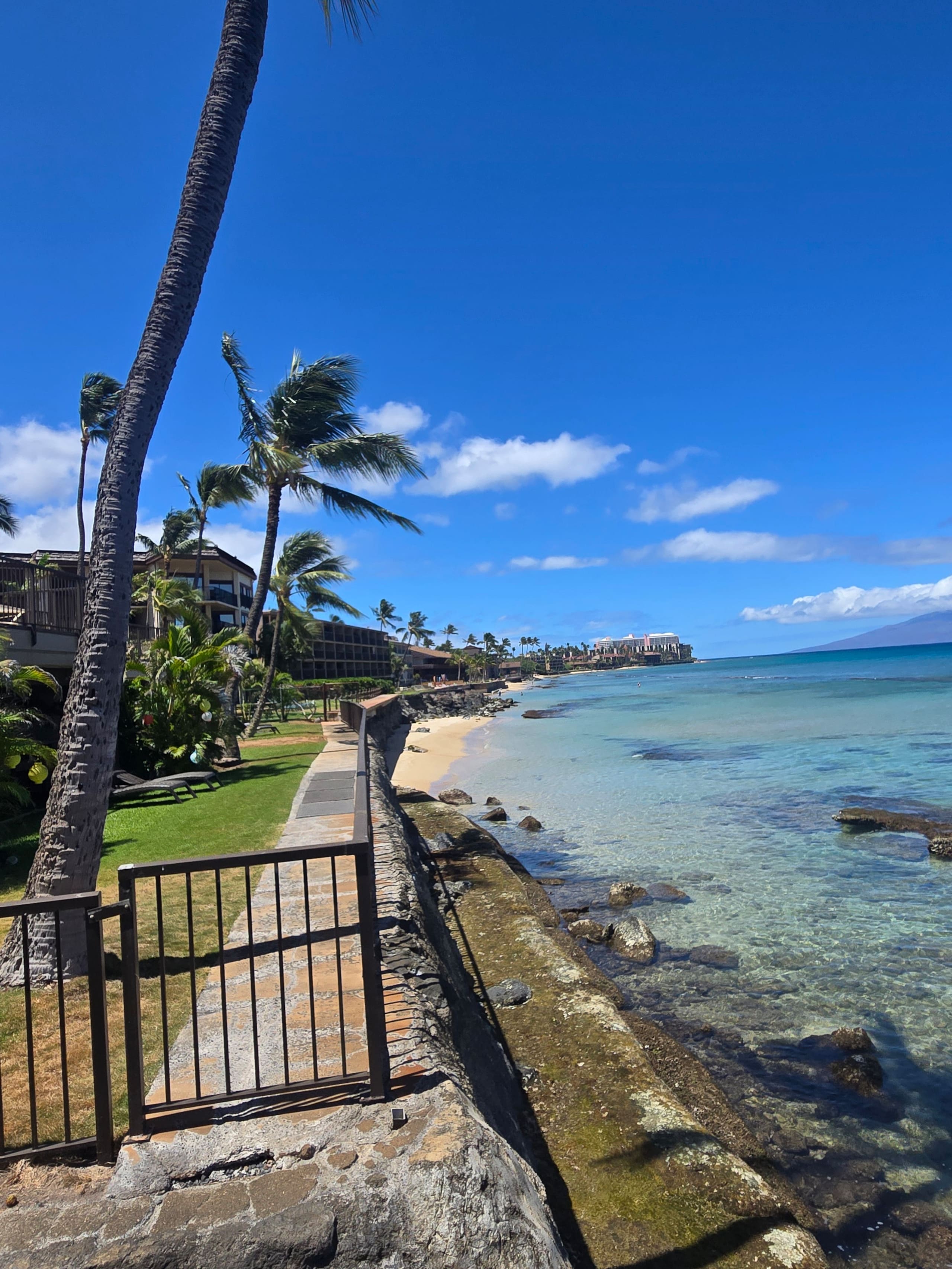 Condo in Lahaina · ★4.96 · 1 bedroom · 2 beds · 1 private bath - Image 37