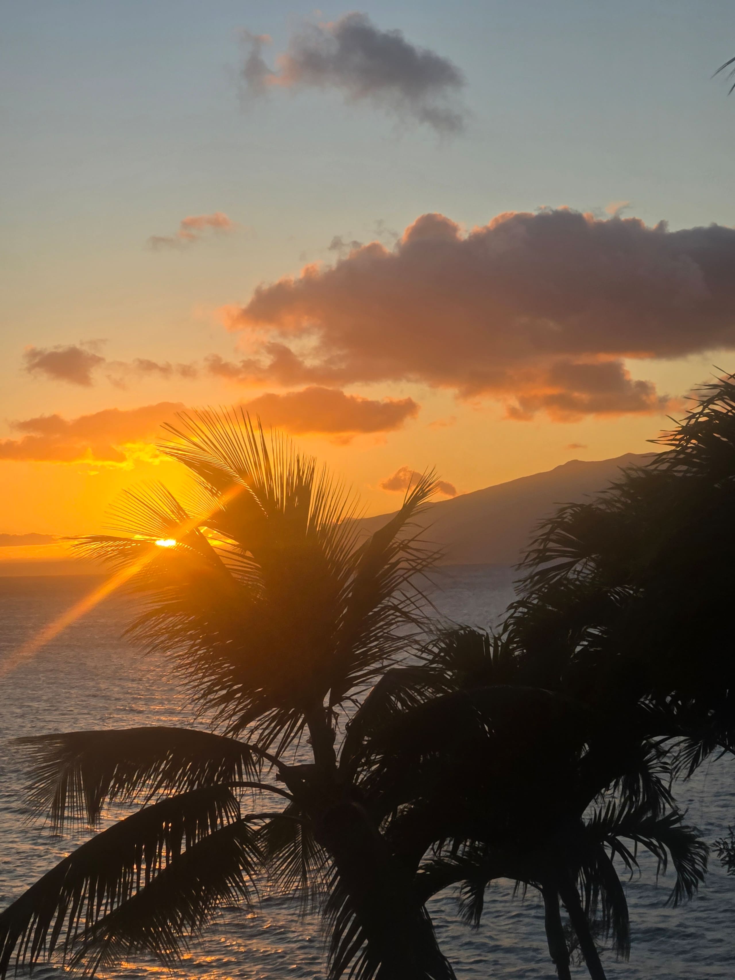 Condo in Lahaina · ★4.96 · 1 bedroom · 2 beds · 1 private bath - Image 57