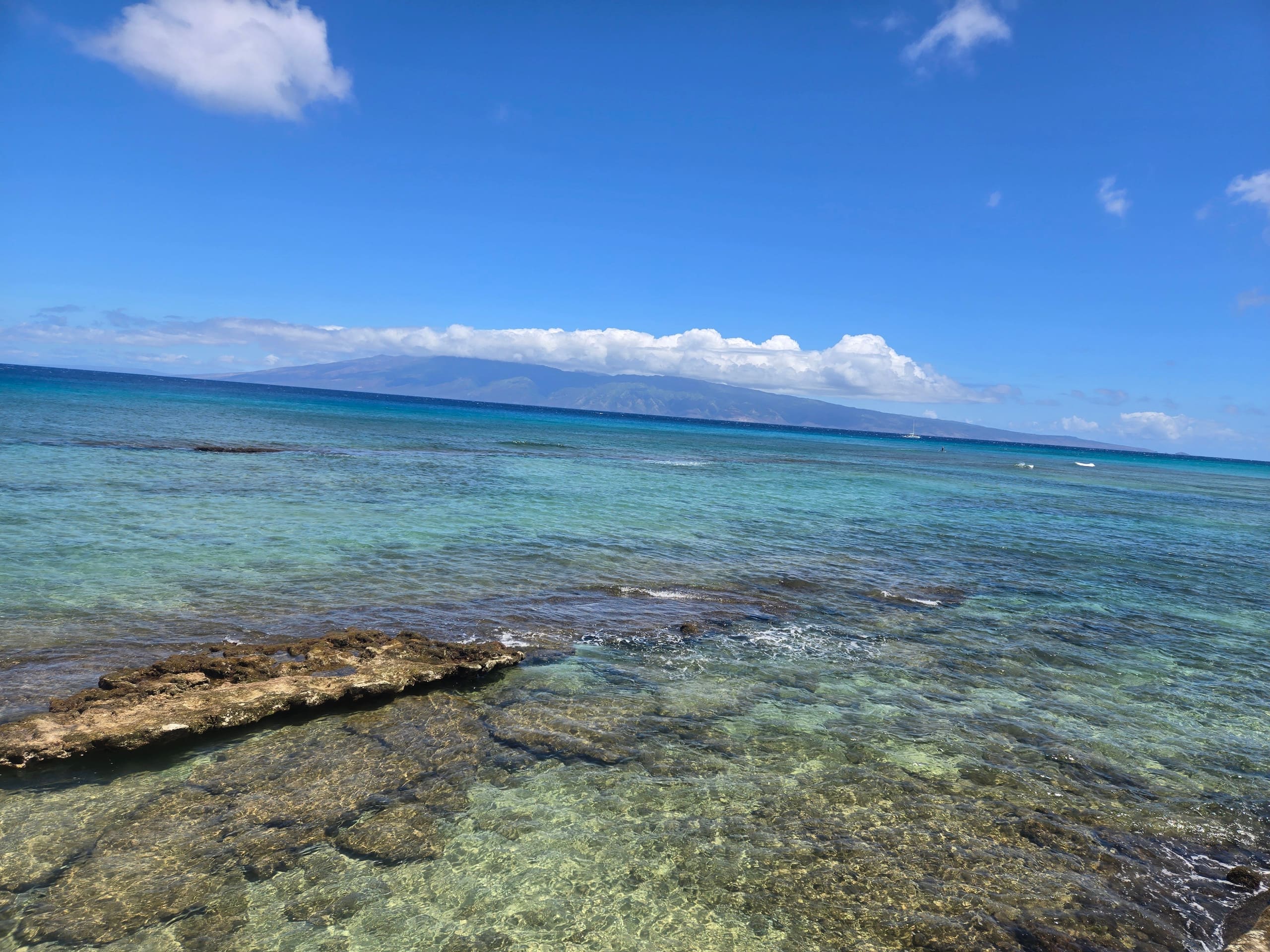 Condo in Lahaina · ★4.96 · 1 bedroom · 2 beds · 1 private bath - Image 42