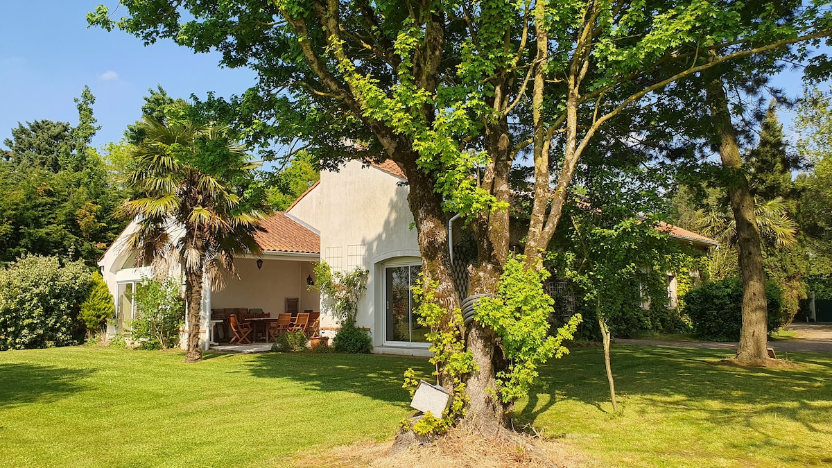 A spacious house is surrounded by lush greenery and mature trees. Sunlight filters through the leaves, creating a serene outdoor environment. A wooden dining table is visible on the patio, offering a comfortable space for outdoor meals.