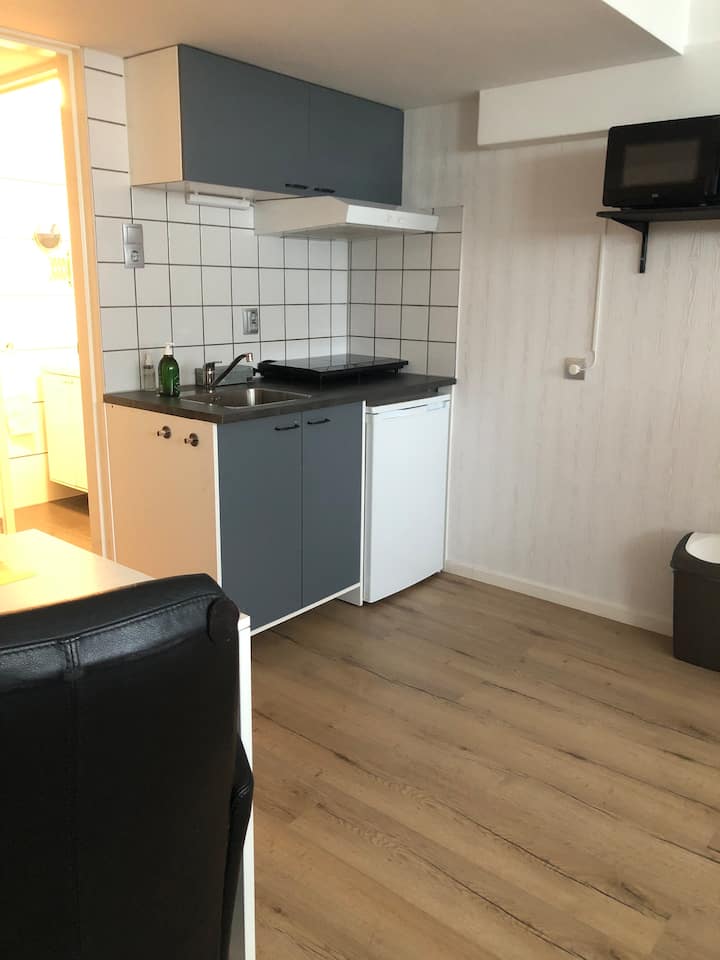 Zandvoort#studio#privé Tuin Uitzicht Zuidduinen🌾 - Haarlem
