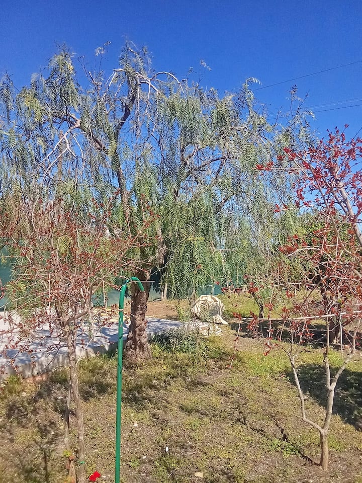Mare Selvaggio - Ortona