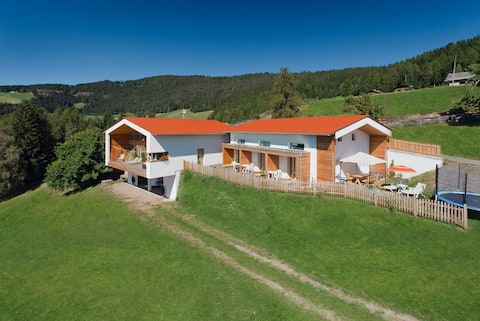 Chalet - Living room Salahaus