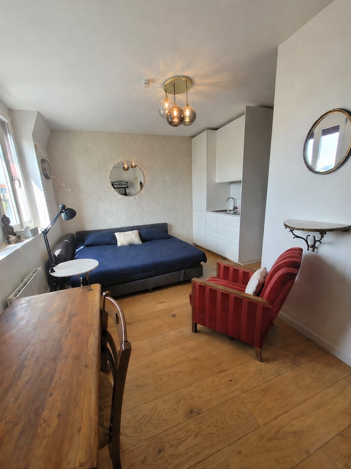 Studio Cosy Et Lumineux. Emplacement Idéal. - Saint-Cloud