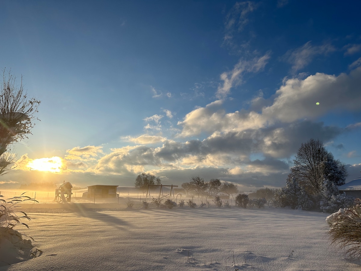 A serene winter landscape is depicted with a blanket of snow covering the ground. Sunlight casts soft light across the scene, illuminating trees and a distant play area. Soft clouds drift above, adding texture to the bright blue sky.
