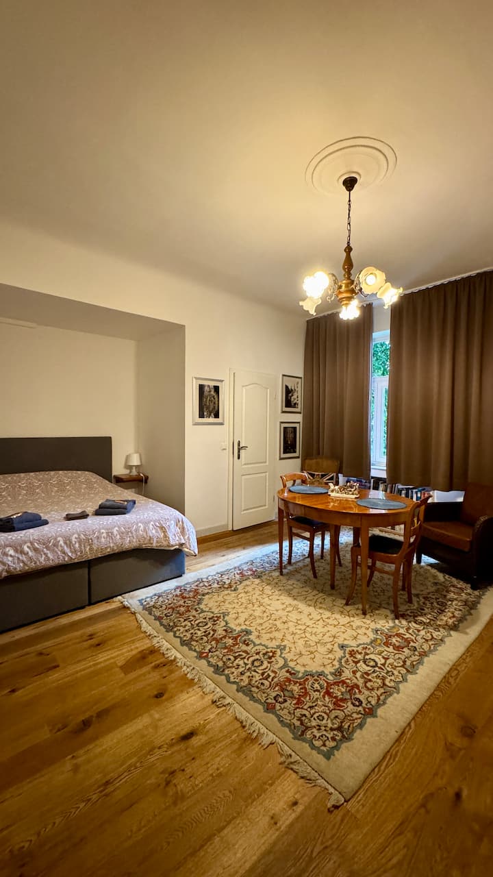 Ideal Studio At Veltmanplatz - Aachen